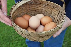 Huevos frescos