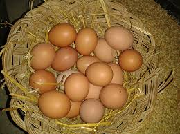 Huevos frescos